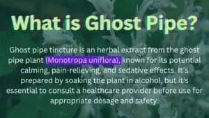 What is Ghost Pipe?