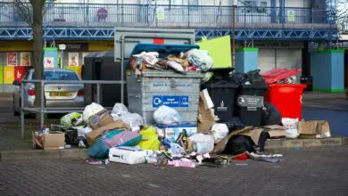 Garbage Disposal Cleaner