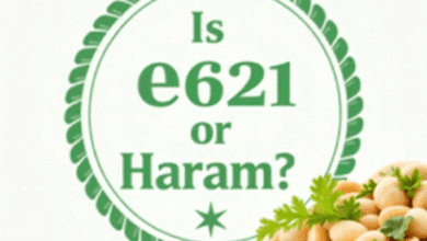 Is e621 Halal or Haram? A Comprehensive Examination of Monosodium Glutamate (MSG)