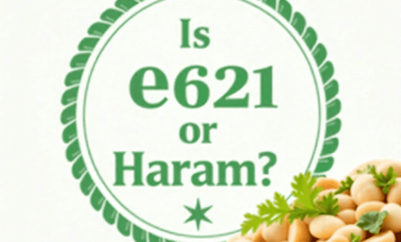 Is e621 Halal or Haram? A Comprehensive Examination of Monosodium Glutamate (MSG)